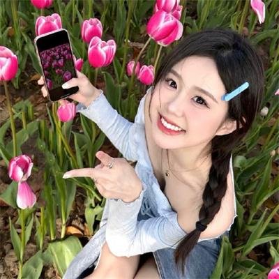玫瑰骑士